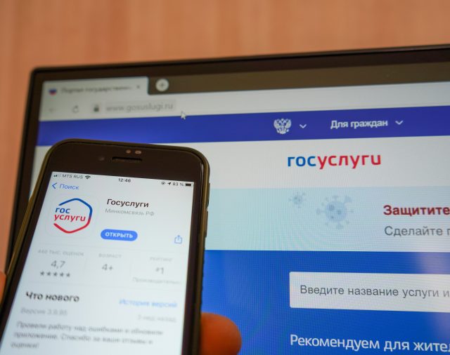 ПРОЙТИ ИДЕНТИФИКАЦИЮ НА ГОСУСЛУГАХ ДЛЯ ВЛАДЕЛЬЦЕВ ДОМЕНОВ .ru / .рф / .su